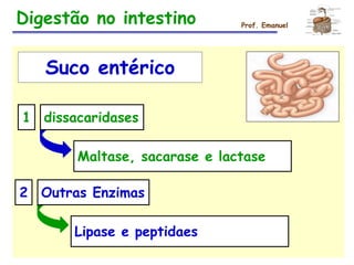 Digestão no intestino Prof. Emanuel
Suco entérico
1 dissacaridases
Maltase, sacarase e lactase
2 Outras Enzimas
Lipase e peptidaes
 
