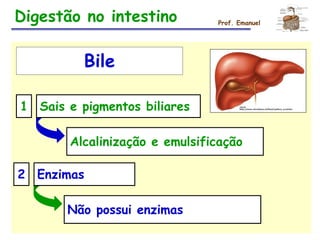 Digestão no intestino Prof. Emanuel
Bile
1 Sais e pigmentos biliares
Alcalinização e emulsificação
2 Enzimas
Não possui enzimas
 