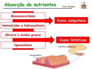 Vasos sanguíneos
Vasos linfáticos
Monossacarídeos
Aminoácidos e hidrossolúveis
Glicerol e ácidos graxos
lipossolúveis
Absorção de nutrientes Prof. Emanuel
 