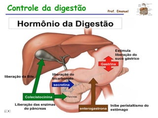 Controle da digestão Prof. Emanuel
 