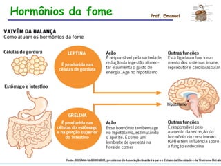 Hormônios da fome Prof. Emanuel
 