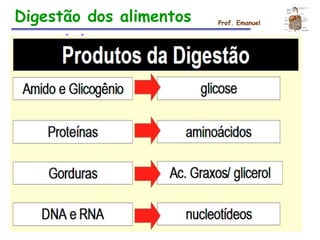 Digestão dos alimentos Prof. Emanuel
 