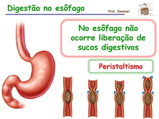 Digestão no esôfago Prof. Emanuel
No esôfago não
ocorre liberação de
sucos digestivos
Peristaltismo
 