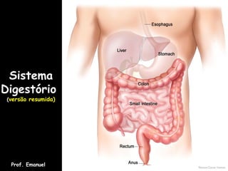 Sistema
Digestório
(versão resumida)
Prof. Emanuel
 