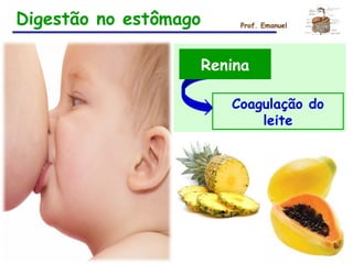 Prof. Emanuel
Renina
Coagulação do
leite
Digestão no estômago
 