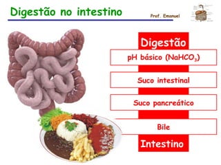 Digestão no intestino Prof. Emanuel
Digestão
pH básico (NaHCO3)
Suco intestinal
Suco pancreático
Bile
Intestino
 