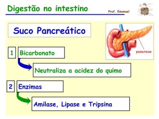 Digestão no intestino Prof. Emanuel
Suco Pancreático
1 Bicarbonato
Neutraliza a acidez do quimo
2 Enzimas
Amilase, Lipase e Tripsina
 