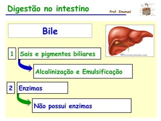 Digestão no intestino Prof. Emanuel
Bile
1 Sais e pigmentos biliares
Alcalinização e Emulsificação
2 Enzimas
Não possui enzimas
 