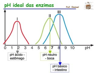 pH ideal das enzimas Prof. Emanuel
 