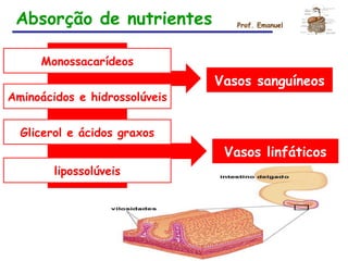 Vasos sanguíneos
Vasos linfáticos
Monossacarídeos
Aminoácidos e hidrossolúveis
Glicerol e ácidos graxos
lipossolúveis
Absorção de nutrientes Prof. Emanuel
 