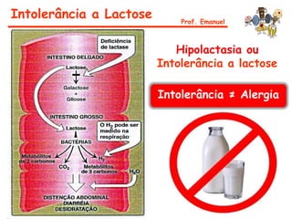 Intolerância a Lactose Prof. Emanuel
Hipolactasia ou
Intolerância a lactose
Intolerância ≠ Alergia
 
