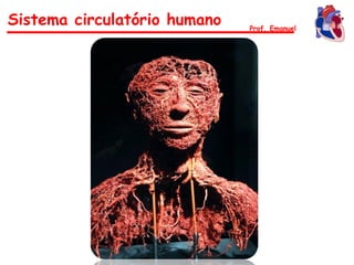 Sistema circulatório humano Prof. Emanuel
 