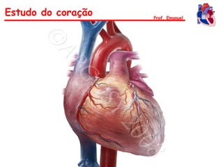 Estudo do coração Prof. Emanuel
 