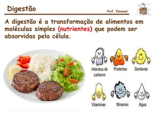 Digestão
A digestão é a transformação de alimentos em
moléculas simples (nutrientes) que podem ser
absorvidas pela célula.
Prof. Emanuel
 