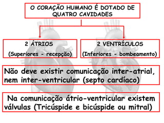 O CORAÇÃO HUMANO É DOTADO DE
QUATRO CAVIDADES
2 ÁTRIOS
(Superiores - recepção)
2 VENTRÍCULOS
(Inferiores - bombeamento)
Não deve existir comunicação inter-atrial,
nem inter-ventricular (septo cardíaco)
Na comunicação átrio-ventricular existem
válvulas (Tricúspide e bicúspide ou mitral)
 