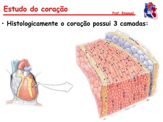 • Histologicamente o coração possui 3 camadas:
• Pericárdio – Camada
serosa externa
• Miocárdio – Camada
muscular média
• Endocárdio – Camada
mucosa interna
Estudo do coração Prof. Emanuel
 