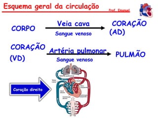 CORPO
CORAÇÃO
(AD)
Veia cava
Sangue venoso
CORAÇÃO
(VD)
PULMÃO
Artéria pulmonar
Sangue venoso
Esquema geral da circulação Prof. Emanuel
Coração direito
 