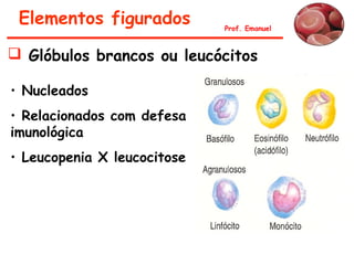  Glóbulos brancos ou leucócitos
• Nucleados
• Relacionados com defesa
imunológica
• Leucopenia X leucocitose
Prof. Emanuel
Elementos figurados
 