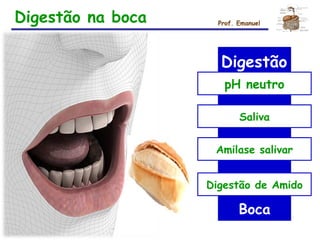 Digestão na boca Prof. Emanuel
Digestão
pH neutro
Saliva
Amilase salivar
Digestão de Amido
Boca
 