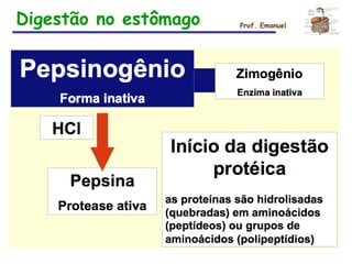 Prof. EmanuelDigestão no estômago
 