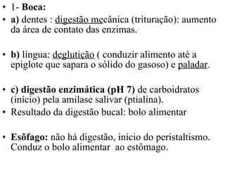 1-  Boca:  a)  dentes :  digestão me cânica (trituração): aumento da área de contato das enzimas. b)  língua:  deglutição  ( conduzir alimento até a epiglote que sapara o sólido do gasoso) e  paladar .  c) digestão enzimática (pH 7)  de carboidratos (início) pela amilase salivar (ptialina).  Resultado da digestão bucal: bolo alimentar Esôfago:  não há digestão, início do peristaltismo. Conduz o bolo alimentar  ao estômago.  