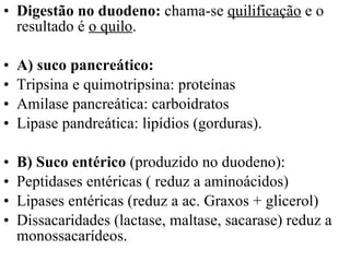 Digestão no duodeno:  chama-se  quilificação  e o resultado é  o quilo .  A) suco pancreático:  Tripsina e quimotripsina: proteínas Amilase pancreática: carboidratos Lipase pandreática: lipídios (gorduras). B) Suco entérico  (produzido no duodeno):  Peptidases entéricas ( reduz a aminoácidos) Lipases entéricas (reduz a ac. Graxos + glicerol) Dissacaridades (lactase, maltase, sacarase) reduz a monossacarídeos. 