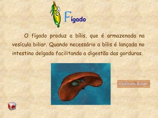 ígado
O fígado produz a bílis, que é armazenada na
vesícula biliar. Quando necessário a bílis é lançada no
intestino delgado facilitando a digestão das gorduras.
Vesícula Biliar
 