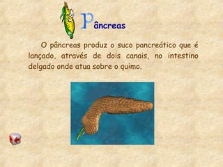 âncreas
O pâncreas produz o suco pancreático que é
lançado, através de dois canais, no intestino
delgado onde atua sobre o quimo.
 