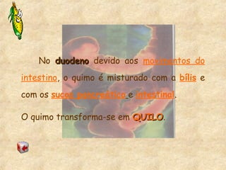 No duodenoduodeno devido aos movimentos do
intestino, o quimo é misturado com a bílis e
com os sucos pancreático e intestinal.
O quimo transforma-se em QUILOQUILO.
 