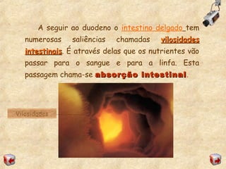 A seguir ao duodeno o intestino delgado tem
numerosas saliências chamadas vilosidadesvilosidades
intestinaisintestinais. É através delas que os nutrientes vão
passar para o sangue e para a linfa. Esta
passagem chama-se absorção intestinalabsorção intestinal.
Vilosidades
 