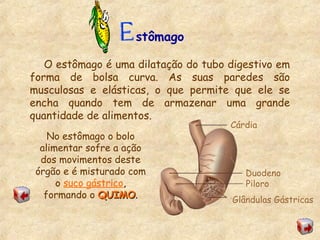 stômago
O estômago é uma dilatação do tubo digestivo em
forma de bolsa curva. As suas paredes são
musculosas e elásticas, o que permite que ele se
encha quando tem de armazenar uma grande
quantidade de alimentos.
Cárdia
Duodeno
Piloro
Glândulas Gástricas
No estômago o bolo
alimentar sofre a ação
dos movimentos deste
órgão e é misturado com
o suco gástrico,
formando o QUIMOQUIMO.
 