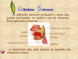 lândulas alivares
As glândulas salivares produzem a saliva que,
quando mastigamos, se mistura com os alimentos.
Estas glândulas situam-se...
...e constituem uma ação química na digestão dos
alimentos na boca.
Glândulas Salivares
Cavidade Bucal
Faringe
Esôfago
Lábios
Dentes
Glândulas Salivares
 