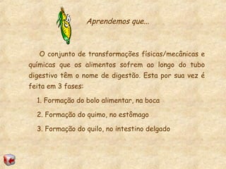 O conjunto de transformações físicas/mecânicas e
químicas que os alimentos sofrem ao longo do tubo
digestivo têm o nome de digestão. Esta por sua vez é
feita em 3 fases:
1. Formação do bolo alimentar, na boca
2. Formação do quimo, no estômago
3. Formação do quilo, no intestino delgado
Aprendemos que...
 
