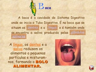 oca
A boca é a cavidade do Sistema Digestivo
onde se inicia o Tubo Digestivo. É na boca que se
situam os e a e é também onde
se encontra a saliva produzida pelas
dentes língua
glândulas
salivares
A língua, os dentes e a
saliva reduzem os
alimentos a pequenas
partículas e misturam-
nos, formando o BOLOBOLO
ALIMENTAR.ALIMENTAR.
 