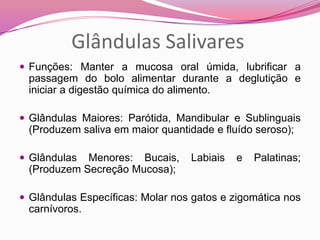 Glândulas Salivares
 Funções: Manter a mucosa oral úmida, lubrificar a
passagem do bolo alimentar durante a deglutição e
iniciar a digestão química do alimento.
 Glândulas Maiores: Parótida, Mandibular e Sublinguais
(Produzem saliva em maior quantidade e fluído seroso);
 Glândulas Menores: Bucais, Labiais e Palatinas;
(Produzem Secreção Mucosa);
 Glândulas Específicas: Molar nos gatos e zigomática nos
carnívoros.
 
