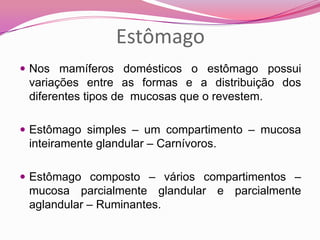 Estômago
 Nos mamíferos domésticos o estômago possui
variações entre as formas e a distribuição dos
diferentes tipos de mucosas que o revestem.
 Estômago simples – um compartimento – mucosa
inteiramente glandular – Carnívoros.
 Estômago composto – vários compartimentos –
mucosa parcialmente glandular e parcialmente
aglandular – Ruminantes.
 