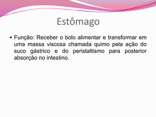 Estômago
 Função: Receber o bolo alimentar e transformar em
uma massa viscosa chamada quimo pela ação do
suco gástrico e do peristaltismo para posterior
absorção no intestino.
 