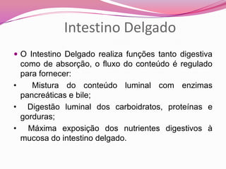  O Intestino Delgado realiza funções tanto digestiva
como de absorção, o fluxo do conteúdo é regulado
para fornecer:
• Mistura do conteúdo luminal com enzimas
pancreáticas e bile;
• Digestão luminal dos carboidratos, proteínas e
gorduras;
• Máxima exposição dos nutrientes digestivos à
mucosa do intestino delgado.
Intestino Delgado
 