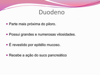 Duodeno
 Parte mais próxima do piloro.
 Possui grandes e numerosas vilosidades.
 É revestido por epitélio mucoso.
 Recebe a ação do suco pancreático
 