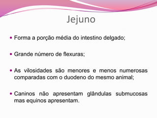 Jejuno
 Forma a porção média do intestino delgado;
 Grande número de flexuras;
 As vilosidades são menores e menos numerosas
comparadas com o duodeno do mesmo animal;
 Caninos não apresentam glândulas submucosas
mas equinos apresentam.
 