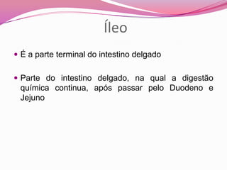Íleo
 É a parte terminal do intestino delgado
 Parte do intestino delgado, na qual a digestão
química continua, após passar pelo Duodeno e
Jejuno
 
