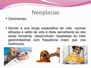 Neoplasias
 Carcinomas;
 Devido à sua longa expectativa de vida, vacinas
eficazes e estilo de vida e dieta semelhante ao dos
seres humanos, desenvolvem neoplasias do trato
gastrointestinal com frequência maior que nos
herbívoros.
 