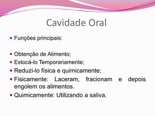 Cavidade Oral
 Funções principais:
 Obtenção de Alimento;
 Estocá-lo Temporariamente;
 Reduzi-lo física e quimicamente;
 Fisicamente: Laceram, fracionam e depois
engolem os alimentos.
 Quimicamente: Utilizando a saliva.
 