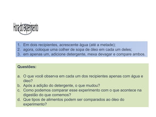 Sistema digestório e suas respectivas funções.pptx