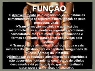  Aproveitamento pelo organismo, de substâncias
alimentares, que asseguram a manutenção de seus
processos vitais.
Transformação mecânica e química das
macromoléculas alimentares ingeridas (proteínas,
carboidratos, etc.) em moléculas de tamanhos e
formas adequadas para serem absorvidas pelo
intestino.
 Transporte de alimentos digeridos, água e sais
minerais do intestino para os capilares sanguíneos da
mucosa(parede) do intestino.
Eliminação de resíduos alimentares não digeridos e
não absorvidos juntamente com restos de células
descamadas da parte do trato gastro intestinal e
substâncias secretadas no intestino.
 