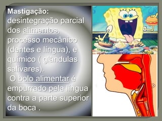 Mastigação:
desintegração parcial
dos alimentos,
processo mecânico
(dentes e língua), e
químico ( glândulas
salivares).
O bolo alimentar é
empurrado pela língua
contra a parte superior
da boca .
 
