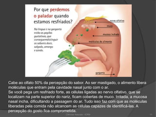Cabe ao olfato 50% da percepção do sabor. Ao ser mastigado, o alimento libera
moléculas que entram pela cavidade nasal junto com o ar.
Se você pega um resfriado forte, as células ligadas ao nervo olfativo, que se
localizam na parte superior do nariz, ficam cobertas de muco. Irritada, a mucosa
nasal incha, dificultando a passagem do ar. Tudo isso faz com que as moléculas
liberadas pela comida não alcancem as células capazes de identificá-las. A
percepção do gosto fica comprometida.
Ciências Naturais - ICRM 11
 