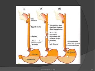 Ciências Naturais - ICRM 15
 