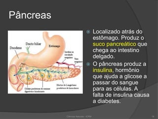 Pâncreas
 Localizado atrás do
estômago. Produz o
suco pancreático que
chega ao intestino
delgado.
 O pâncreas produz a
insulina, hormônio
que ajuda a glicose a
passar do sangue
para as células. A
falta de insulina causa
a diabetes.
Ciências Naturais - ICRM 19
 
