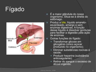 Fígado
 É a maior glândula do nosso
organismo. Situa-se à direita do
estômago.
 Produz a bile, líquido amarelo-
esverdeado, amargo e sem
enzimas digestivas. A função
desse líquido é dissolver gorduras
para facilitar a digestão pela ação
de enzimas.
 Outras funções do fígado:
 Transformar glicose em
glicogênio (único açúcar
produzido no organismo);
 Eliminar substâncias nocivas à
saúde;
 Produzir heparina (substância
anticoagulante);
 Retirar do sangue o excesso de
álcool ingerido.
Ciências Naturais - ICRM 20
 